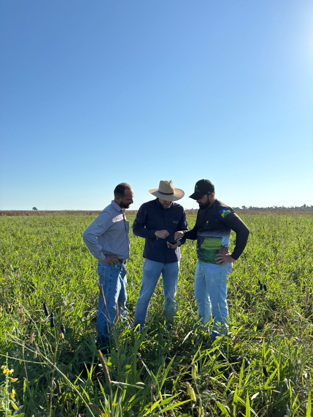 ACAMPO agronomy team with growers in the field