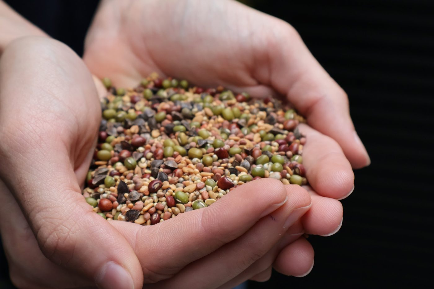 Cover crop seed mix in hand
